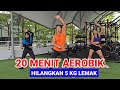20 MINUTES OF AEROBICS LOSE 5 KG OF FAT