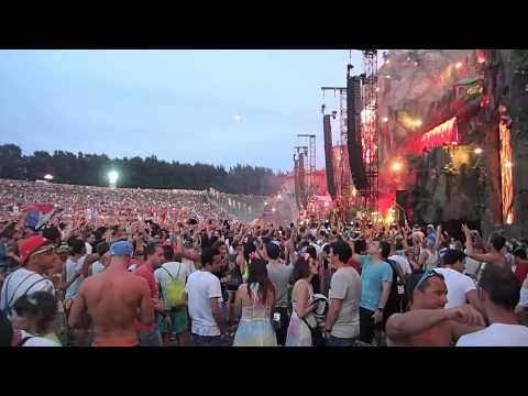 TOMORROWLAND DAY 3 - David Guetta vs Afrojack vs Nicky Romero