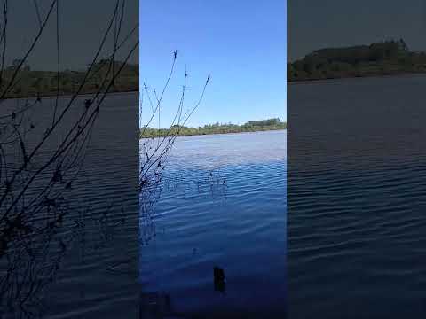 domingo de pesca en Río Uruguay #itacaruare  #misiones