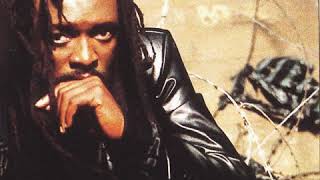 4) Lucky Dube - Is This Freedom