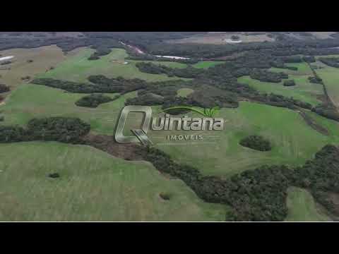 80 Hectares à Venda em Cerrito RS - 11km da BR-293 | Terra para Soja