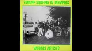 tav falco's panther burns - agitator blues (1986)