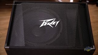 Video thumbnail for Peavey PV15M Stage Monitor - Peavey PV15M by American Musical Supply