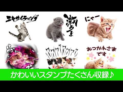 猫スタンプ（実写スタンプ） video thumbnail