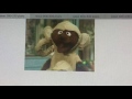My Elmo S Zoo Credits W Pictures