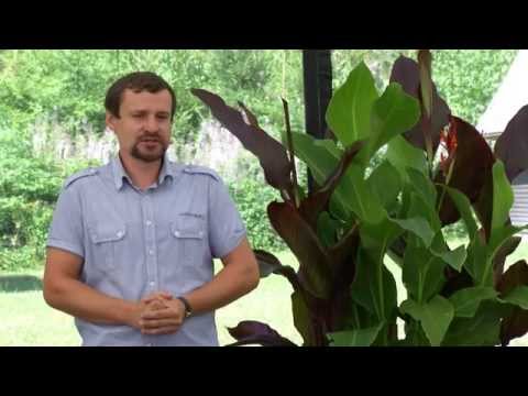 Noční univerzita: Mgr. Vojtěch Vlček — Mučedníci komunismu