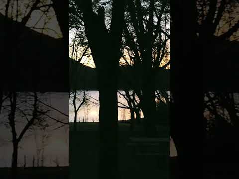 🏞️ APA 2 | LAS RABONAS - Completa Naranja