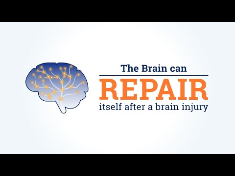 The brain can repair itself after a brain injury. Here’s how.