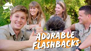 Quirky Echidna Encounters!