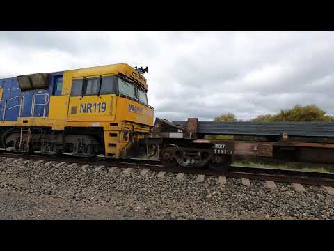 NR85 & NR119 at Micabil NSW.  Wed 13th Oct 2021