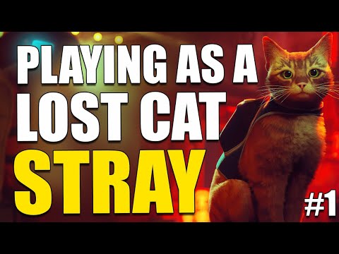 PLAYING AS A LOST CAT (But it's super relaxing) | 