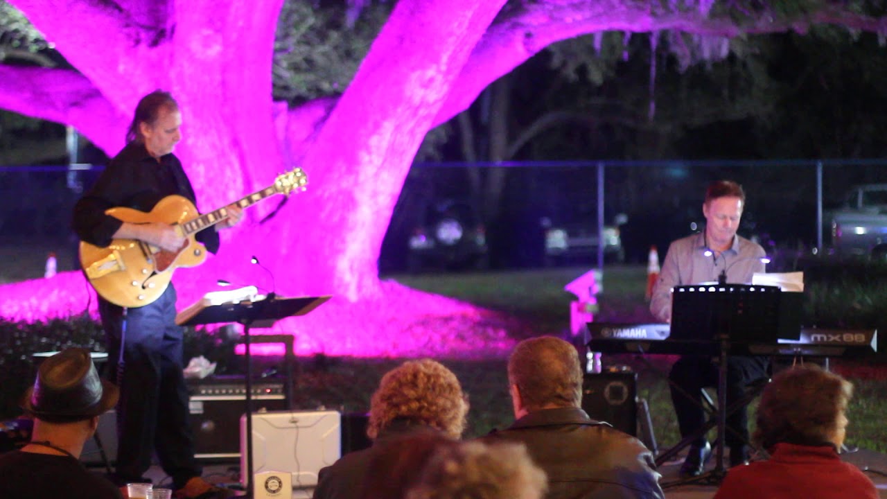 Promotional video thumbnail 4 for The New York Guitar Cats