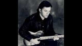 Near the End (subtítulos en español) - David Gilmour