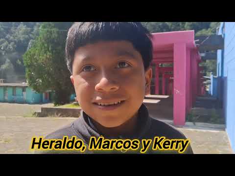 Becas para estudiar básico y carreras 