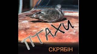 Music video thumbnail preview for Скрябін - Птахи (короткий мікс; 1995) by Скрябін