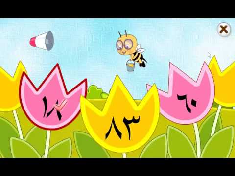 Bahasa Arab Lite Video