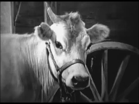 With Love and Kisses (1936) PINKY TOMLIN