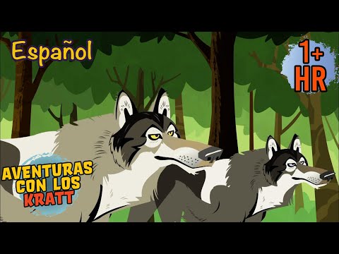 El Pequeño Aullador | Aventuras con los Kratt