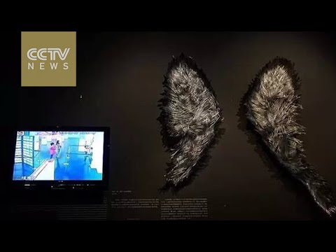 คลิกเพื่อดูคลิปวิดีโอ