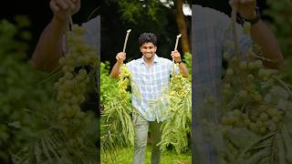 Download lagu Jaffna Special Nelli (Amla) Juice mp3 Download lagu Jaffna Special Nelli (Amla) Juice mp3