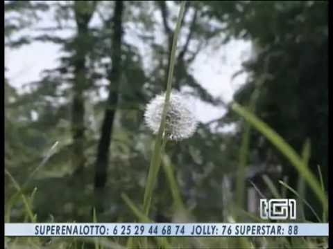 Erba per cura di alcolismo senza la conoscenza del paziente Cura libera di alcolismo di Ivanovo
