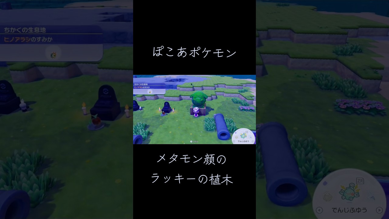 ぽこあポケモン　メタモン顔のラッキーの植木 #ぽこあポケモン #ポケモン