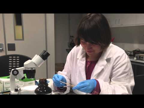 Intern NZ - Saskia: Research Internship in Auckland, New Zealand