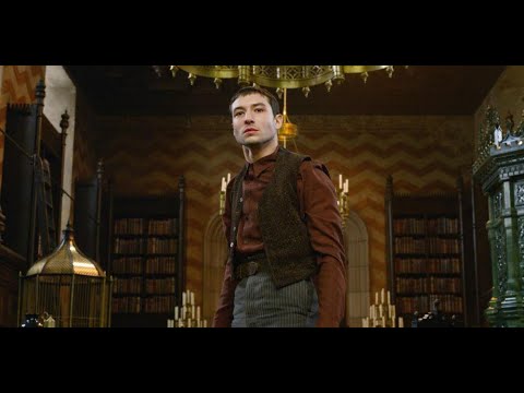 Credence Barebone II Lovely