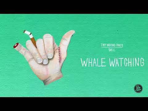 Video thumbnail for Whale Watching