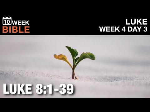 Parable of the Seeds | Luke 8:1-39 | Week 4 Day 3 Study of Luke