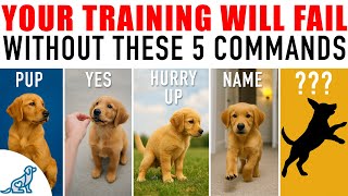 The First 5 Words Your Dog NEEDS To Learn!
