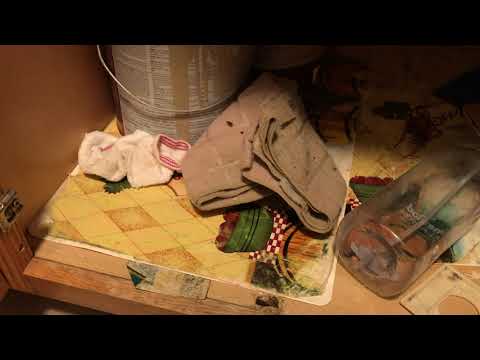 Creepy Cockroaches Crawling Under Sink in Freehold, NJ