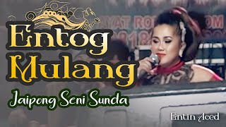 Download lagu ENTOG MULANG JAIPONG PANGGUNG - ENTIN ACED mp3