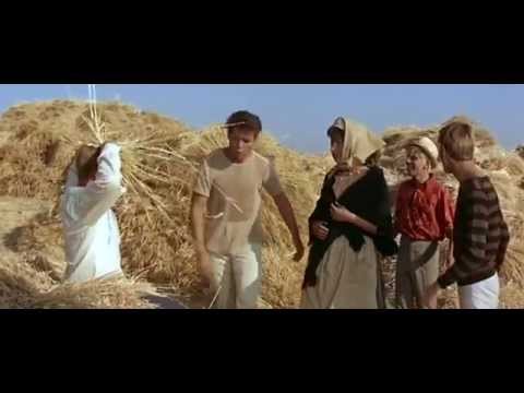 1963 Summer Holiday — Dancing Shoes