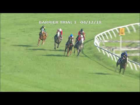 4 December 2018 Trial 1