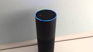 Ordering Items Through Amazon Echo (Alexa) [Using your voice to shop]