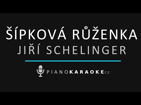 Jiří Schelinger - Šípková Růženka | Piano Karaoke Instrumental
