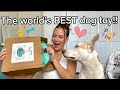 This Dog Toy Files Your Pups Nails Down Genius Idea