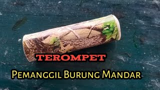 Download lagu Cara Membuat Terompet Pemanggil Burung Mandar Batu @snipertenggarong mp3