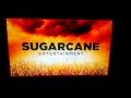 Sugarcane RIP Factormade Miramax Television
