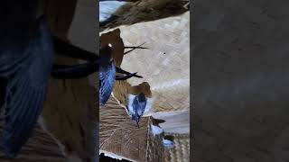 Download lagu Hasil Menggunakan Suara Akau Selama 1 Tahun. mp3