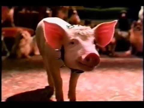 Babe Pig in the City Movie Trailer 1998 - TV Spot