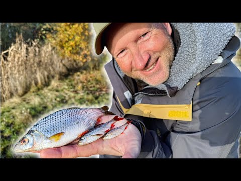 Using a feeder rod for catching baitfish