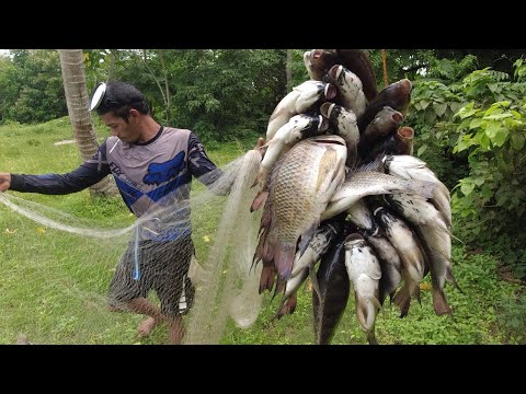 SE03EP130 - TATLONG BUNGKOS - HALOS MAPUNO na naman ANG ISANG BANYERA | San Pablo City, Laguna