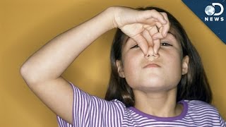 How To Make Smells Not Smell