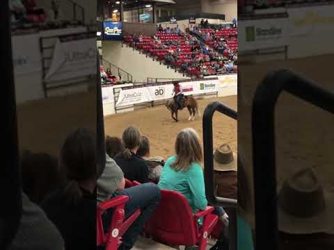 2020 Walkabout Tour Las Vegas Nevada Clinton Anderson 5 Body Parts Demonstration