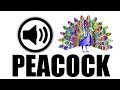 Peacock Sound Effect ( HD ) No Copyright