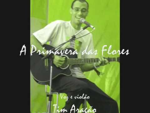 A Primavera Das Flores - Tim Aragão