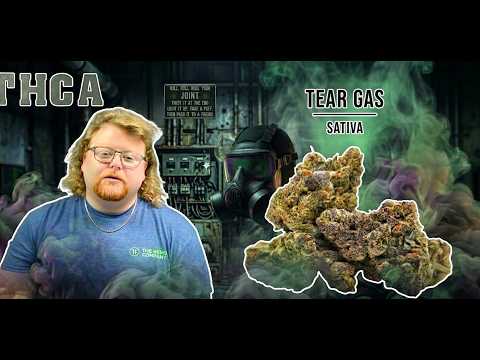 Tear Gas Strain