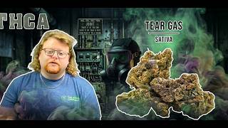 Tear Gas Strain Review: Did It Make Us Cry